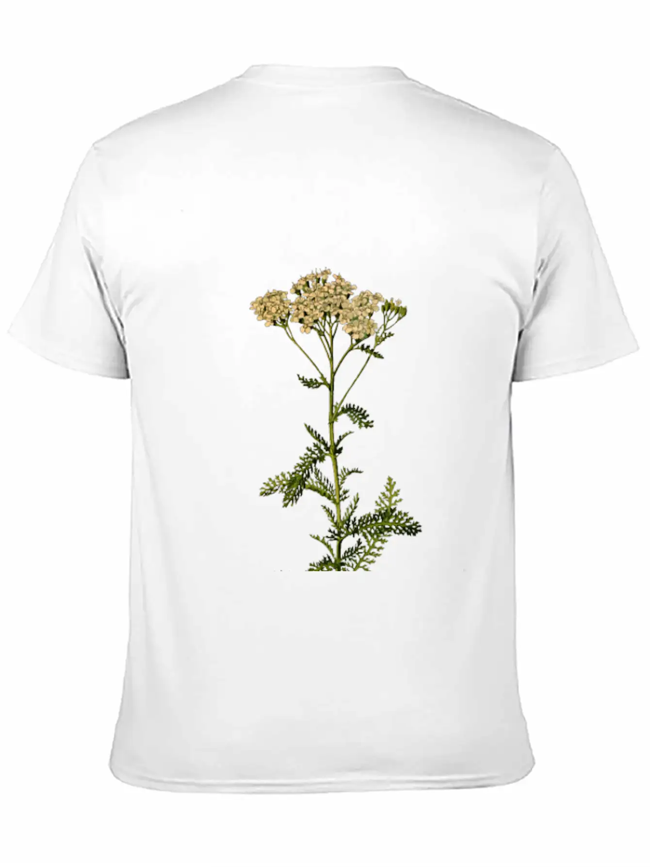 Yarrow (detailed) Unisex Short Sleeve Soft Cotton T-Shirt – Casual Everyday Wear