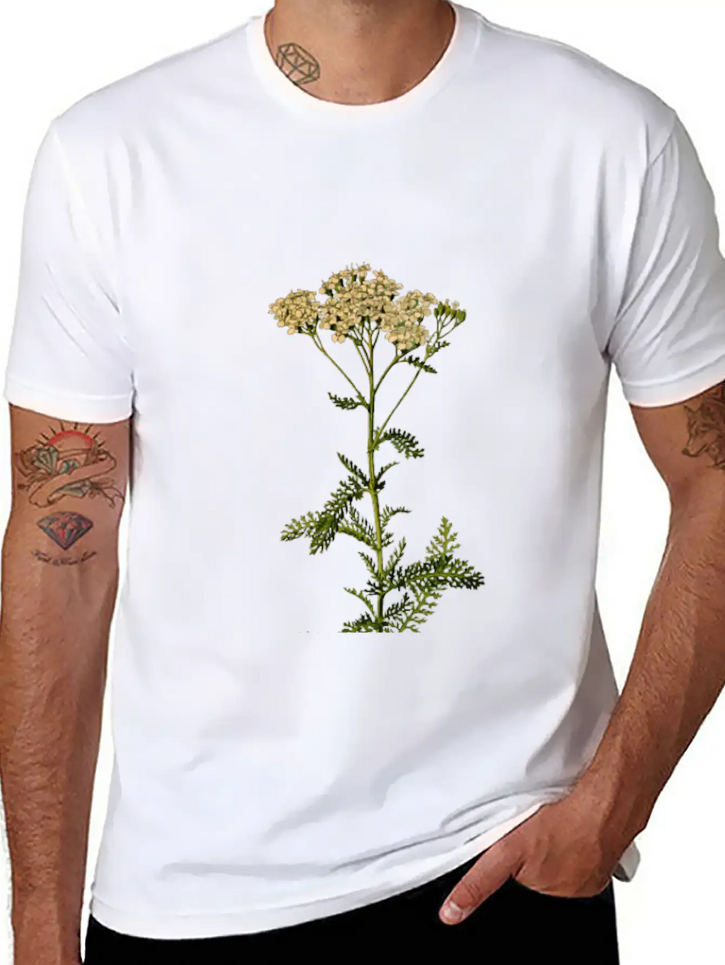 Yarrow (detailed) Unisex Short Sleeve Soft Cotton T-Shirt – Casual Everyday Wear