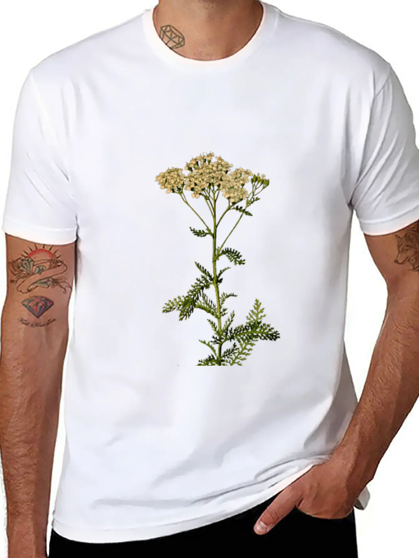 Yarrow (detailed) Unisex Short Sleeve Soft Cotton T-Shirt – Casual Everyday Wear